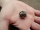 D20 Würfel aus massiver Bronze