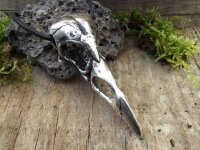 Großer Rabenschädel aus 925er Silber
